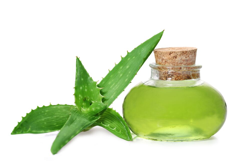 aloe vera extract - cream composition Proctonic