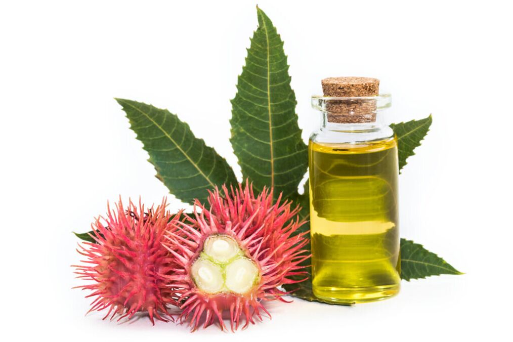 castor oil - composition of Proctonic cream